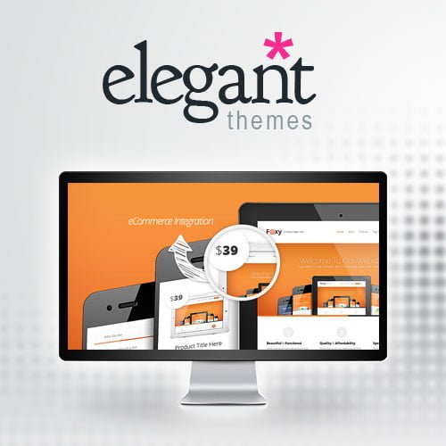 Elegant-Themes-Foxy-WooCommerce-Theme.jpg